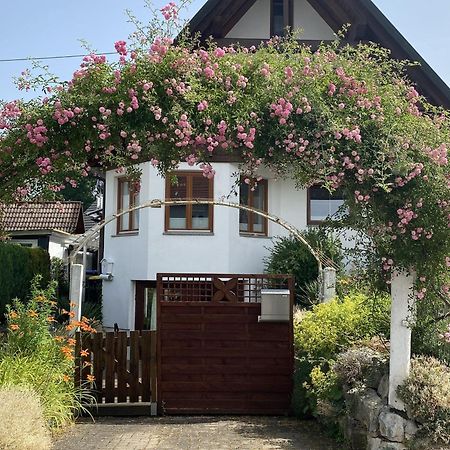 Dalea Appartement Bad Waldsee Buitenkant foto
