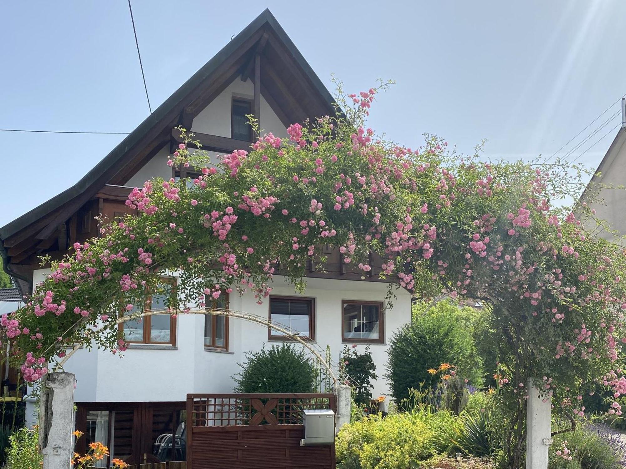 Dalea Appartement Bad Waldsee Buitenkant foto