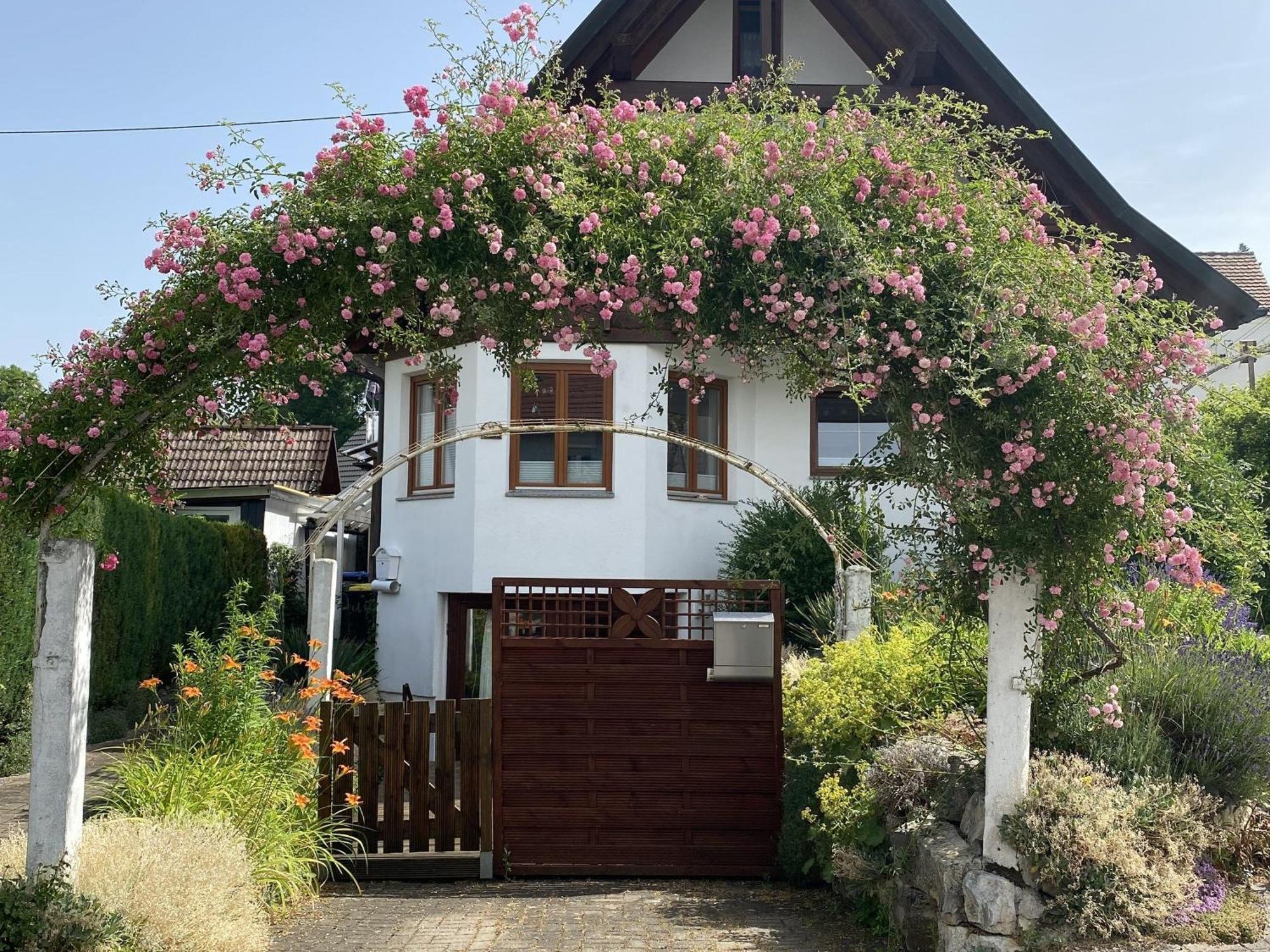 Dalea Appartement Bad Waldsee Buitenkant foto